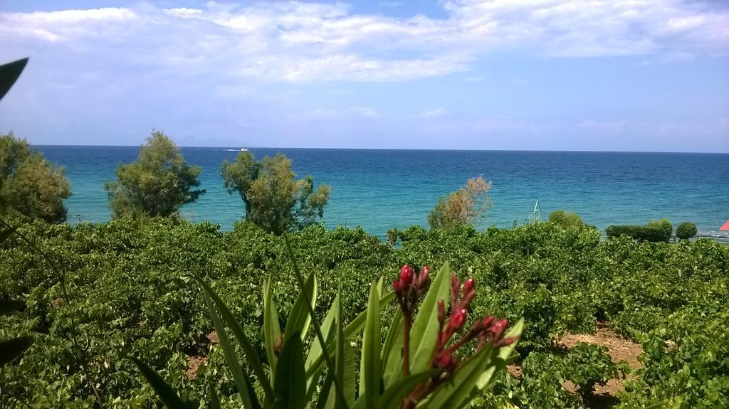 Villa Antonis Deluxe Apartments Amoudi Exteriör bild